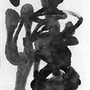 images/galeries/21/vignettes/SCall19 23x72.jpg